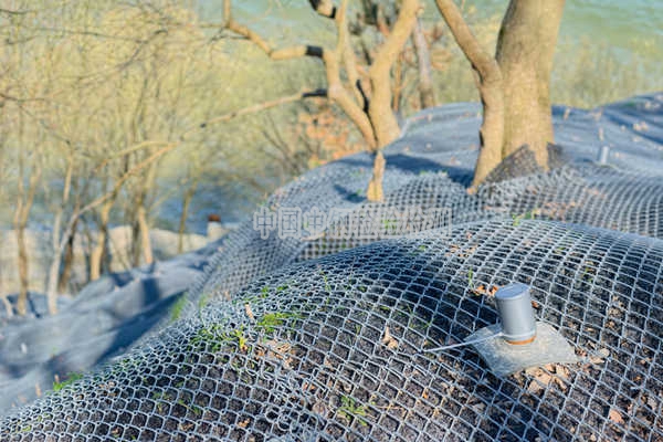 边坡防护网检测