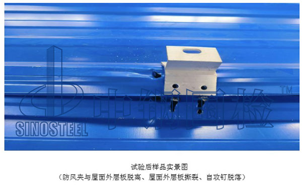 试验后样品实景图