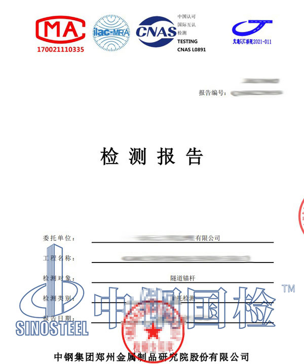 隧道锚杆检测报告