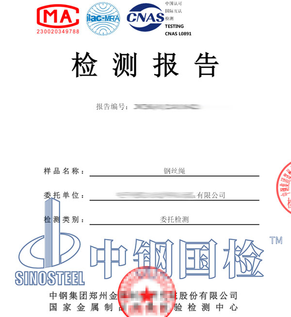钢丝绳检测报告图片