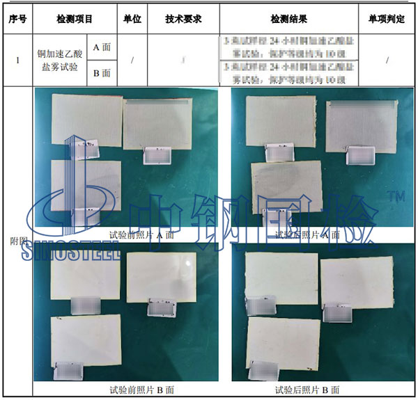 乙酸盐雾试验检测项目结果