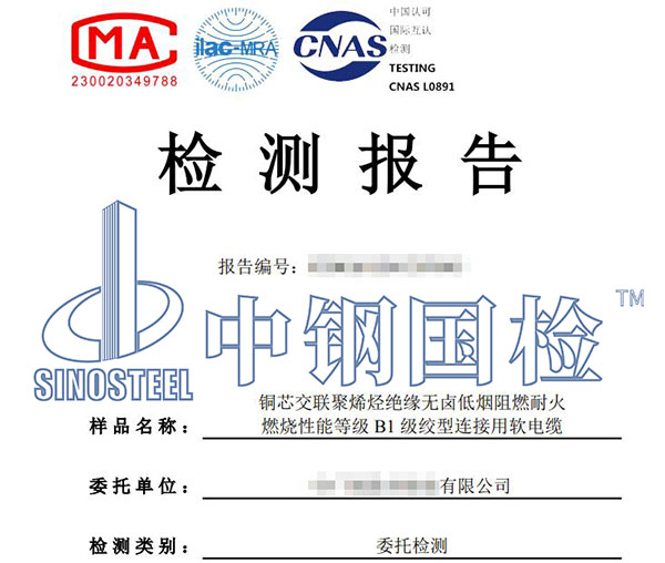 电缆检测报告